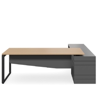 Geo Forum Executive Desk