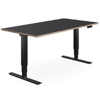 Selectric Electric Sit Stand Desk Solo -201
