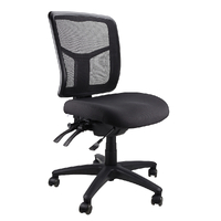 Mesh Mirae Medium Back Heavy Duty Ergonomic Office Chair