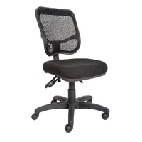 Ergonomic Mesh Chair EM300C