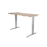 Arise Electric Height Adjustable Sit Stand Desk